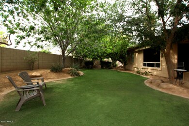 Grass yard area