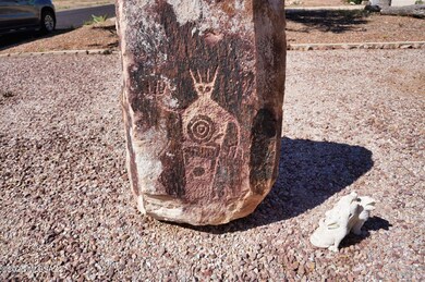 cool rock/front yard