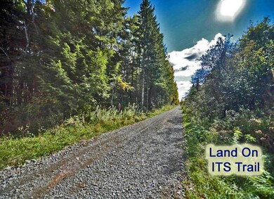 Lot 38 Route 1, Littleton, ME 04730 - photo 6