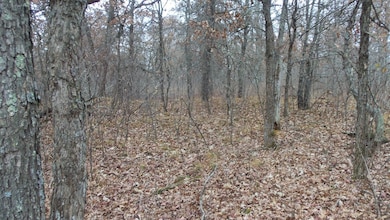 Lot 3 300th St, Sterling Township, WI 54024 - photo 7