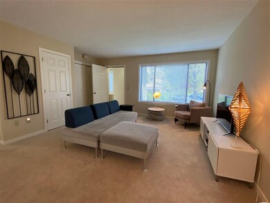 133 Colonial Dr unit 302, White River Junction, VT 05001 - photo 5