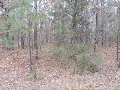 OFF Cold Spring Rd, Waldron, AR 72958 - photo 7