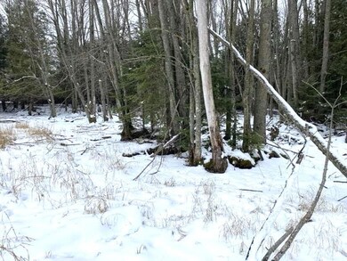 unnamed