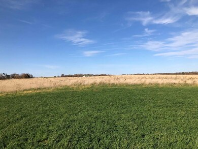 98.33 +/- acres Pikes Peak Rd, Potosi, WI 53820 - photo 3