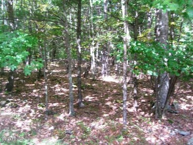Lot 692 Club House Dr, Lackawaxen Township, PA 18428 - photo 5