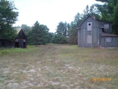 8685 Kaleva St, Kaleva, MI 49645 - photo 6