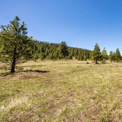 Lot 27 To Be Determined unit 27, McCall, ID 83638 - photo 2