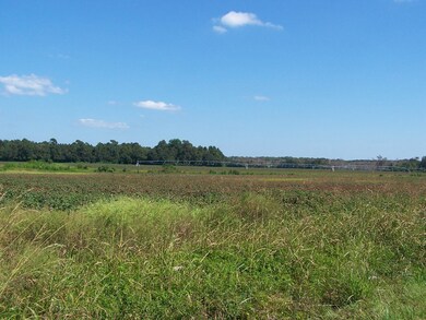 00 Tee Vee Road Hwy 267, Santee, SC 29142 - photo 3
