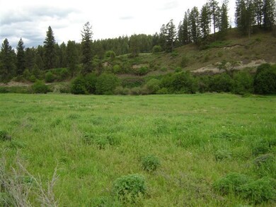 PASTURE 2