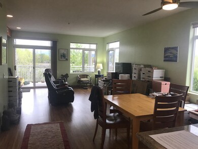 lots of windows