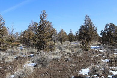 IMG_0858