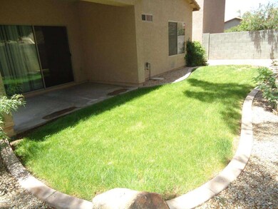Just enough Grass for a Pet or Play!