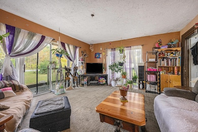 2555 W State Rd, Hastings, MI 49058 - photo 7