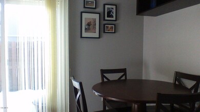 ficus10