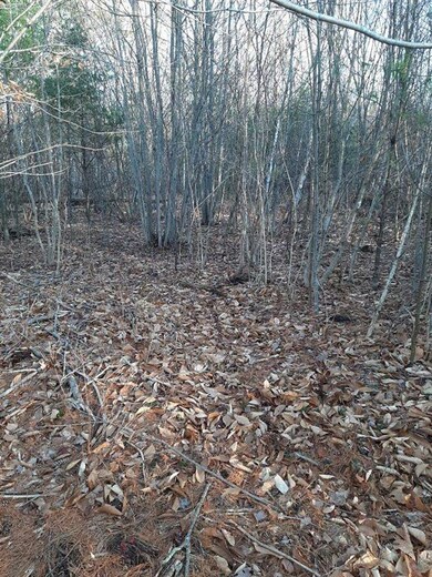 00 New Hampshire 25, Meredith, NH 03253 - photo 3