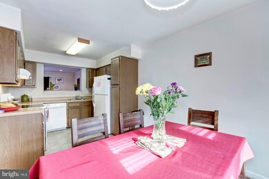 3336 Major Denton Dr, Beltsville, MD 20705 - photo 4