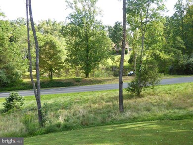 1602 Buck Mountain Rd, Bentonville, VA 22610 - photo 7