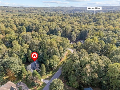 2 Steepleton Ct, Hillsborough, NC 27278 - photo 4