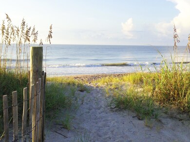 beach with dunes and sand fence (1)