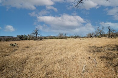 1 E Lower Crabapple Rd unit 1, Fredericksburg, TX 78624 - photo 6