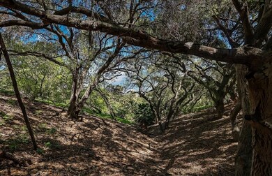 2222 Carbon Canyon Rd, Chino Hills, CA 91709 - photo 5