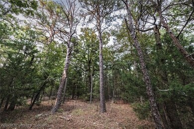 TBD NE 120th Rd, Red Oak, OK 74563 - photo 5