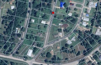 102 Pleasure Pass, Coldspring, TX 77331 - photo 5