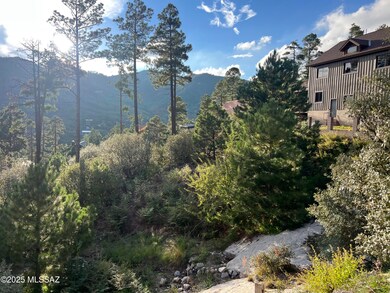 12625 N Ajo Ave unit 9, Mt. Lemmon, AZ 85619 - photo 5