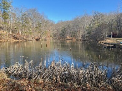 Stump Run Pond-1