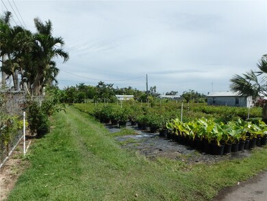 16870 SW 232nd St, Miami, FL 33170 - photo 4