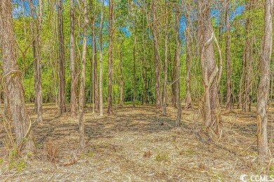 TBD Tranquil Rd unit Lot 1, Conway, SC 29527 - photo 5