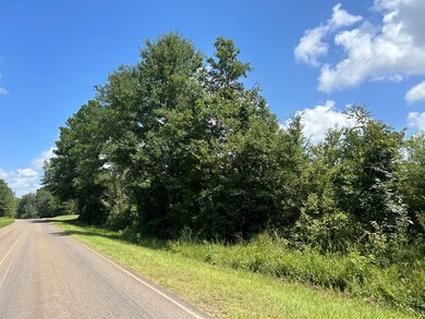 TBD Hwy 570 River Road N Shell Oil Rd, Summit, MS 39666 - photo 6