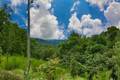 1690 Alf Harris Rd, Prospect, TN 38477 - photo 7