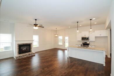 123 Back Cedar Ln - Living Room 3