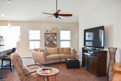 Living room with custom window treatments.