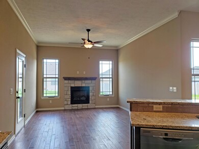 867 E Dyann Dr, Nixa, MO 65714 - photo 6