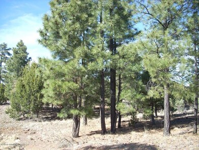 1484 Low Mountain Tr (4)