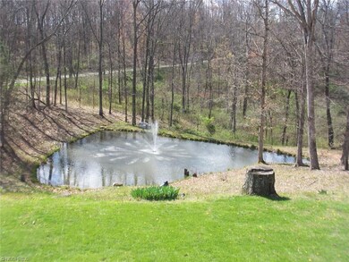 Stocked Pond with Fountain