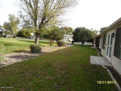 rear yard