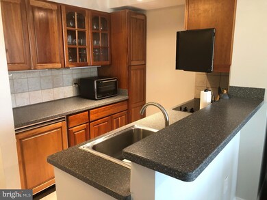 316 Burnside St unit 506, Annapolis, MD 21403 - photo 7