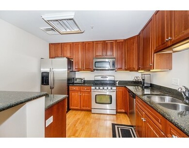 320 Rindge Ave unit 202, Cambridge, MA 02140 - photo 2
