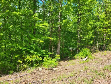 1 Shake Rag Rd, Sugar Tree, TN 38380 - photo 5