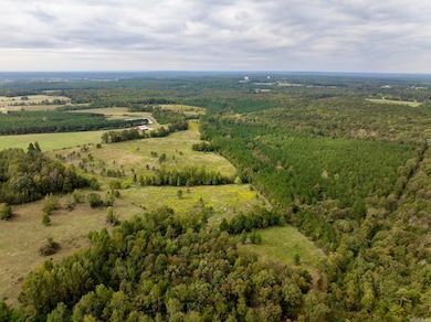 000 Goff Rd Via Easement, Quitman, AR 72131 - photo 2