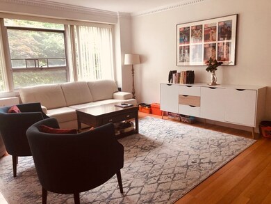 Hammond Park Condominiums unit 202, Chestnut Hill, MA 02467 - photo 4