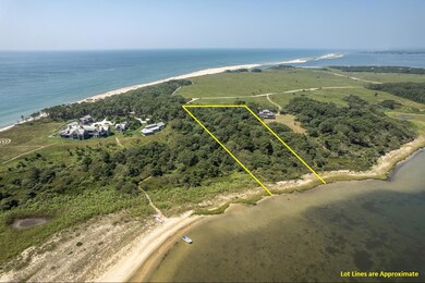 31 Pocha Rd, Edgartown, MA 02539 - photo 3