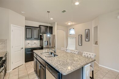 316 Lemon Mint Ln, Denton, TX 76210 - photo 4