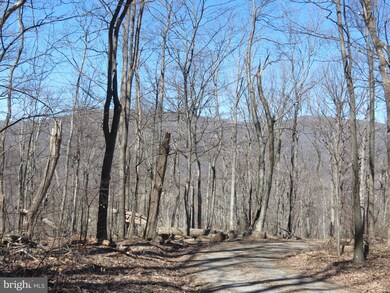 0 Old Ski Lodge Ln unit VARP106168, Washington, VA 22747 - photo 7