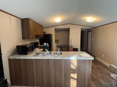 1716 N Canal Street #13 St, Carlsbad, NM 88220 - photo 6