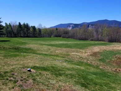 No more lawn mowing for you! Spend your days doing
