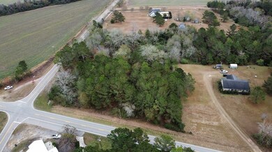 0 Georgia 202, Moultrie, GA 31768 - photo 5